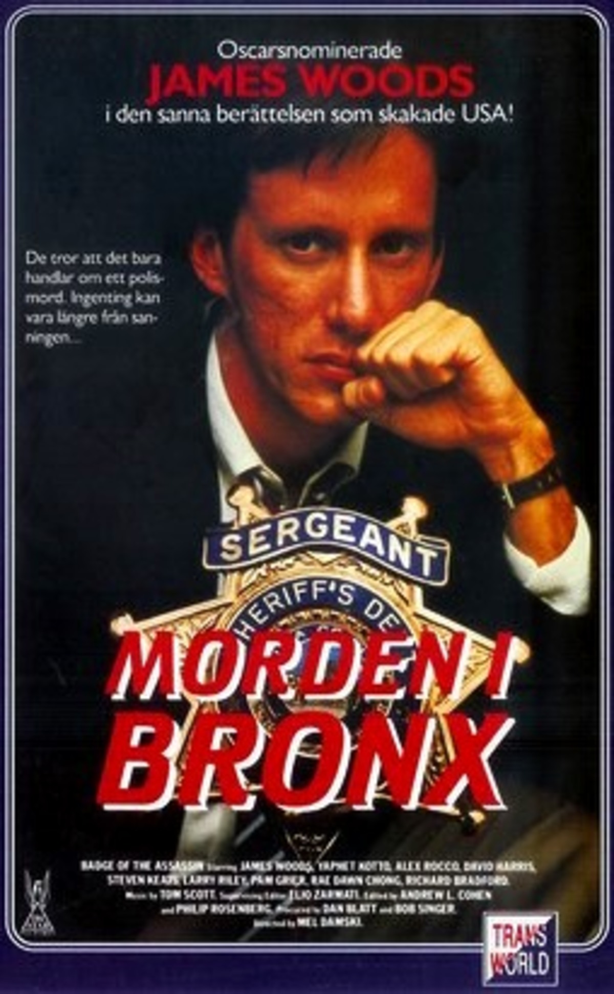 large_8292864904e3df5663bd3ce2989b72e8-MORDEN_20I_20BRONX.jpg