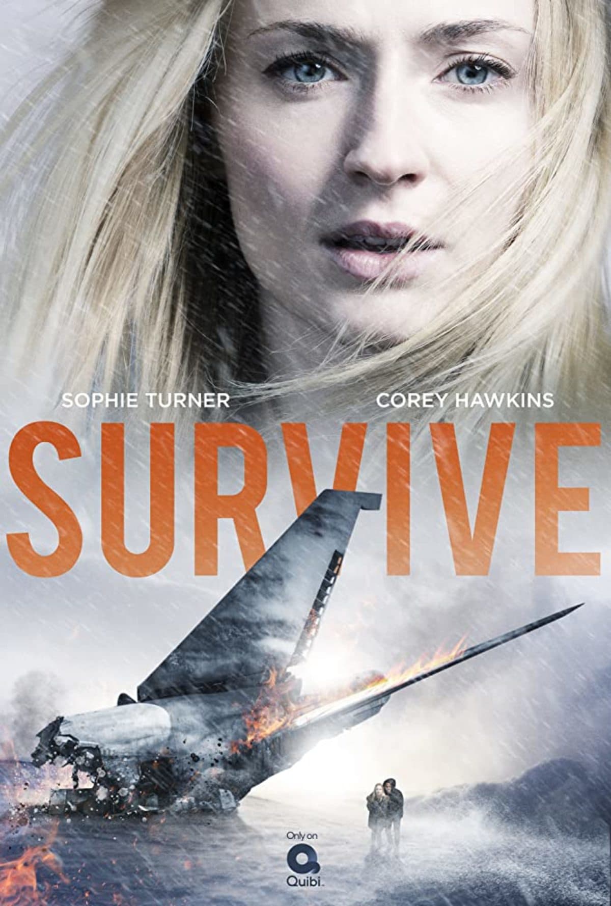 large_836efded1307a1b90237870c5056a98b-surviveposter.jpg