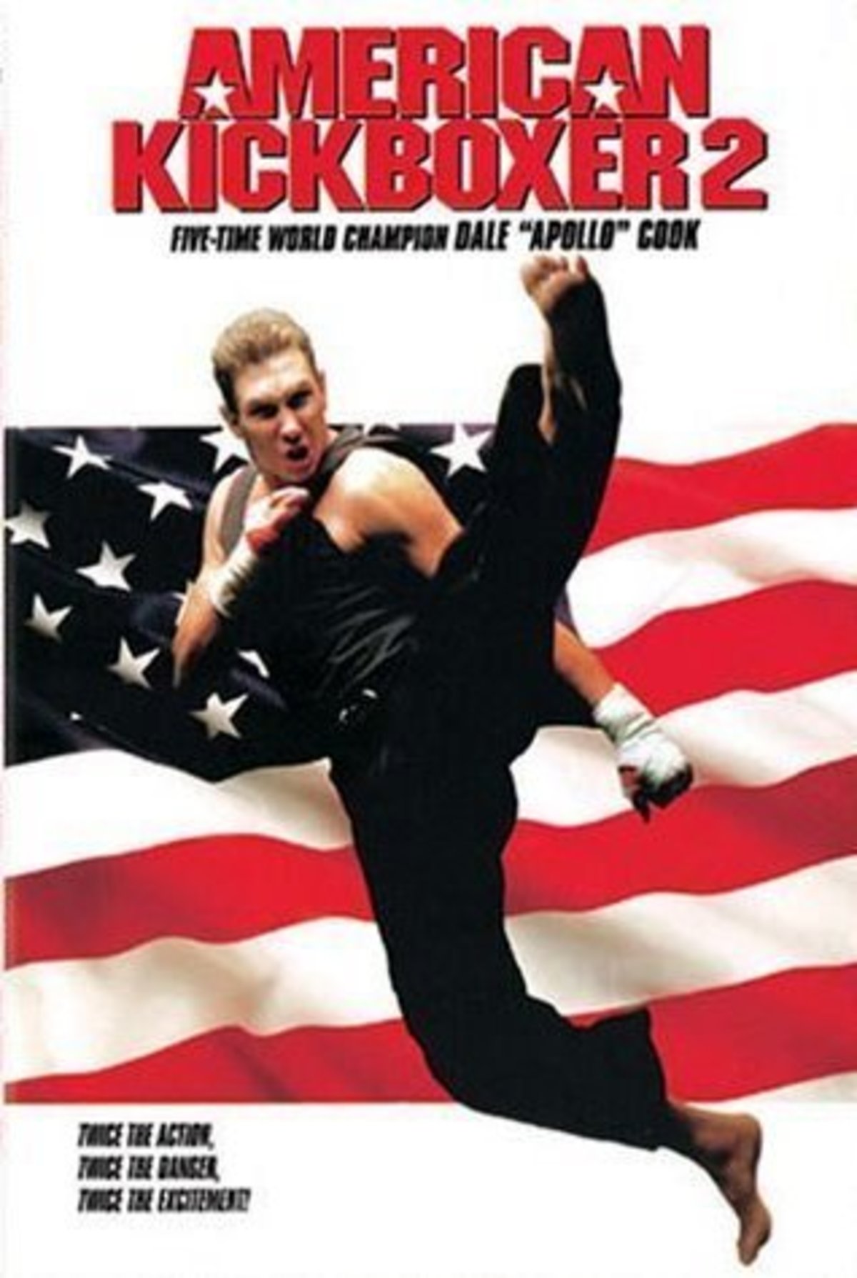 large_83cf1e8fe3c160d5d5901a518f9bd79a-American_20Kickboxer_202.jpg
