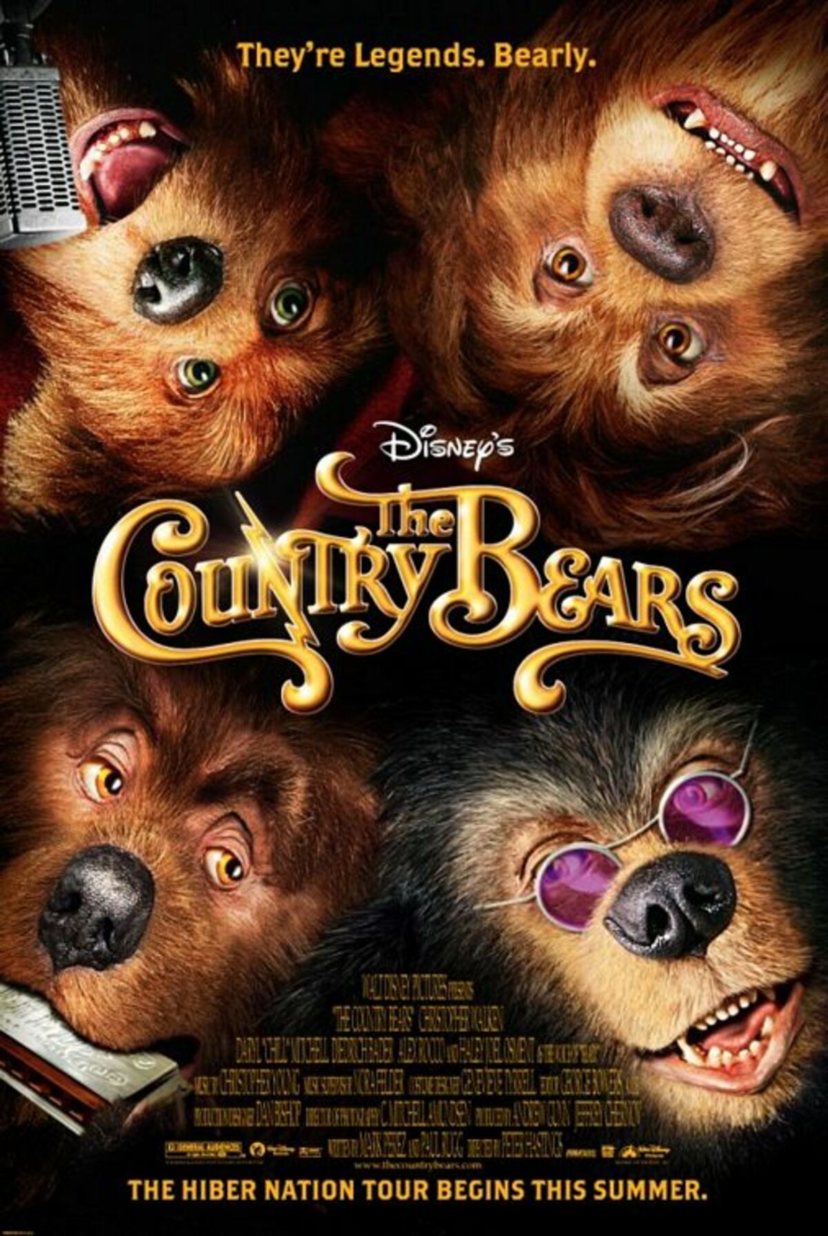 large_86b99e75125a32e792b56353dbf8d759-country_bears.jpg