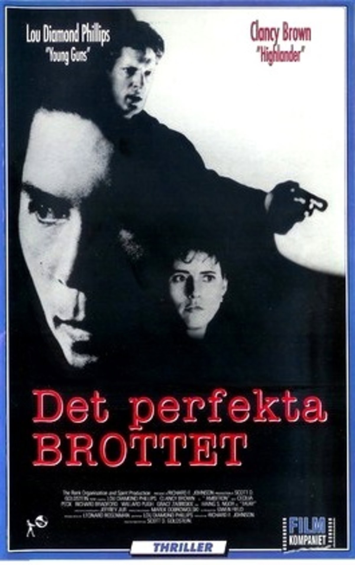 large_86f9dbb5f16bbb246577d278132bb870-Det_20perfekta_20brottet.jpg