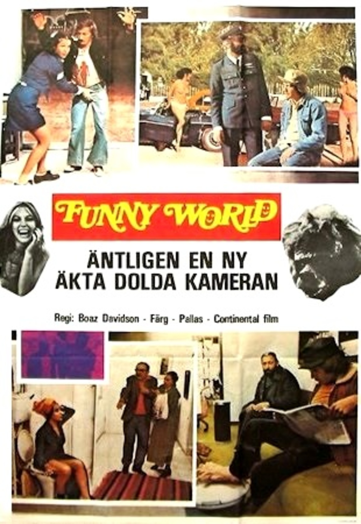 large_88633e068821731b89480bcb082fe437-Funny_20World.jpg