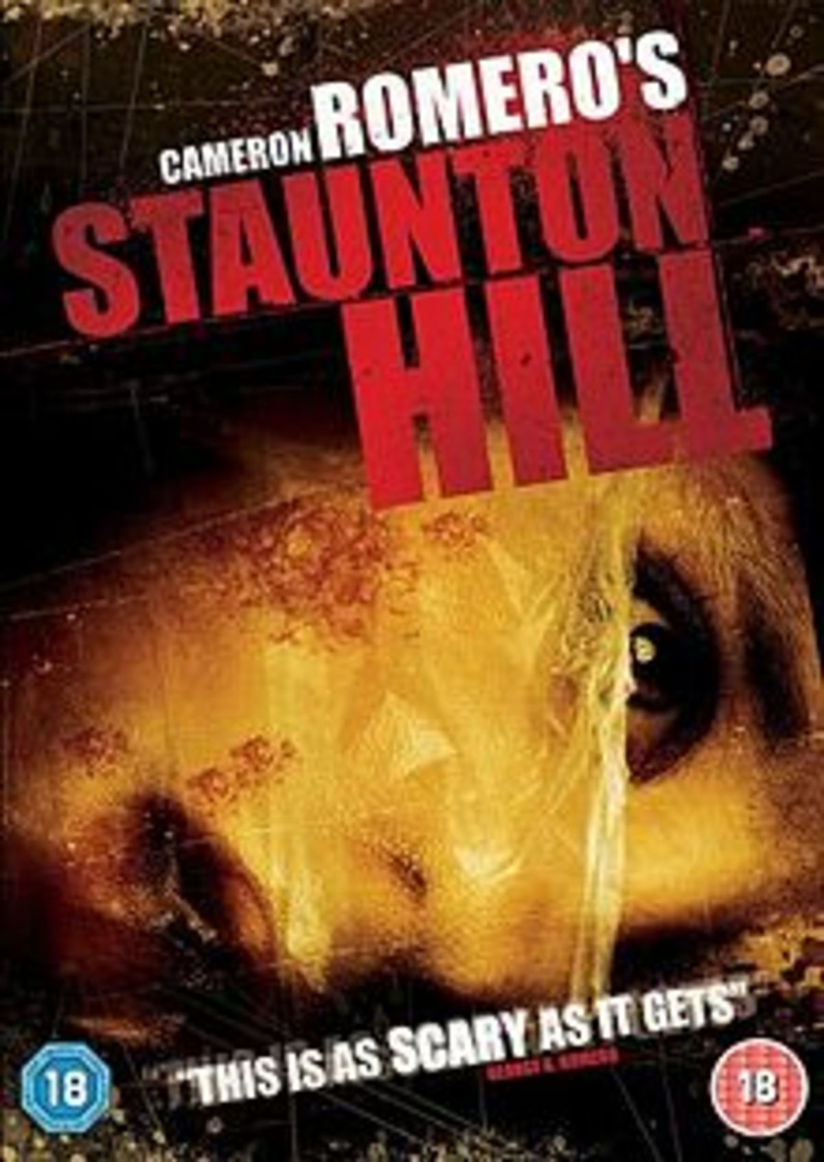 large_89e2d8f7b80196c0d675d2b1e4215578-220px-Staunton_Hill_FilmPoster.jpeg