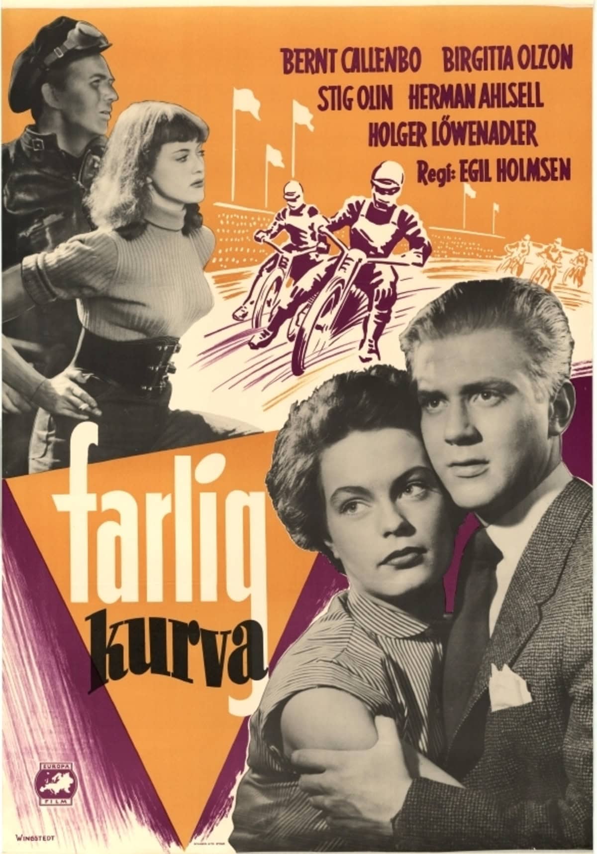 large_8a2d7c0293d662a625849bd71e7e1ae4-Farlig_20kurva.jpg