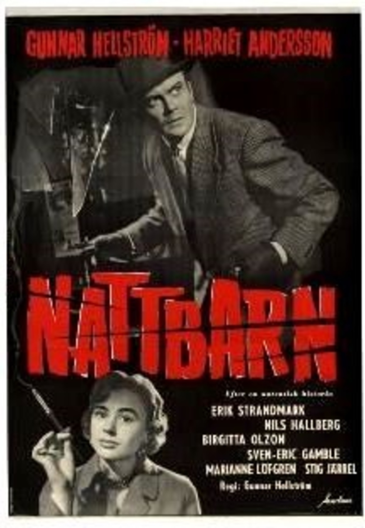 large_8b078ba3716d0cd3afe2702789726daf-Nattbarn.jpg