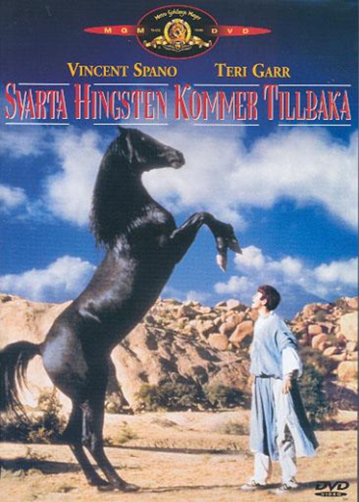 large_90dcde862b520a6a7708d6f5368edea9-svarta_hingsten_kommer_tillbaka.jpg