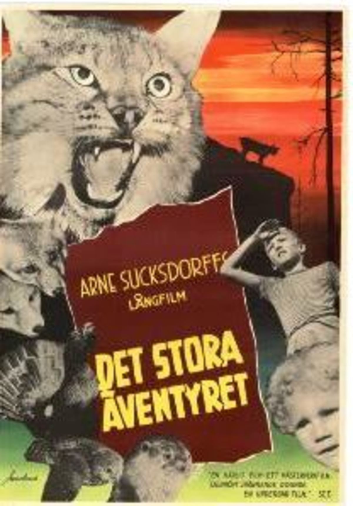 large_9681a75dc530bf899f66c9943544f9e9-Det_20stora_20_C3_A4ventyret.jpg