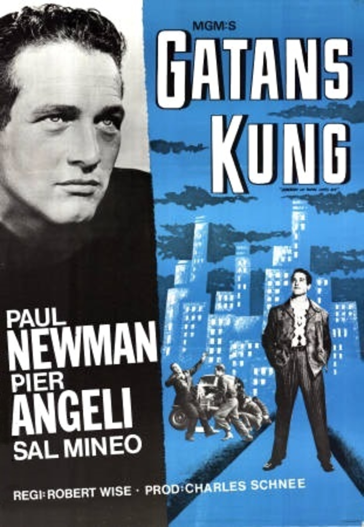 large_99a5ed94c3cfb131bb7494f6eca51bb8-gatans_kung_56.jpg