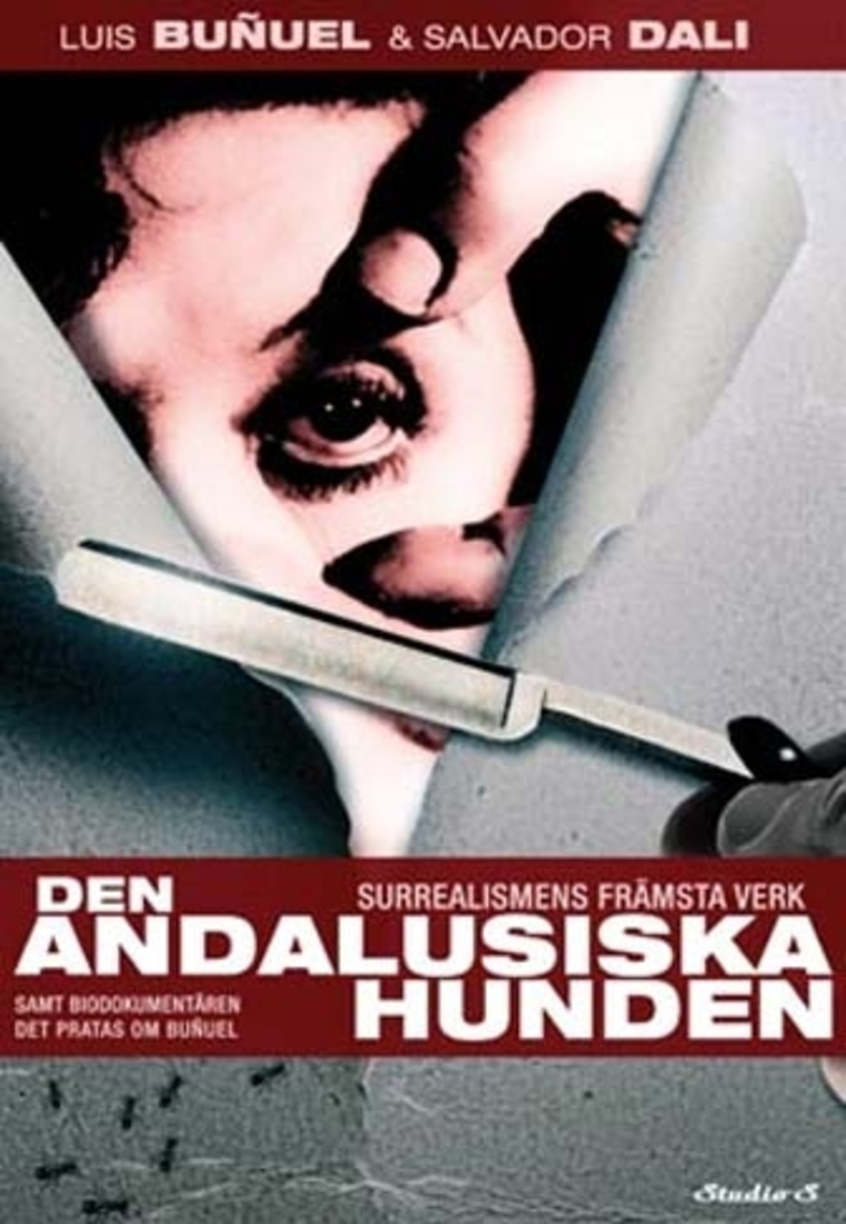 large_9a4f89b1cf6c5659dd9152711e00bd0d-den_andalusiska_hunden_video_on_demand.jpg
