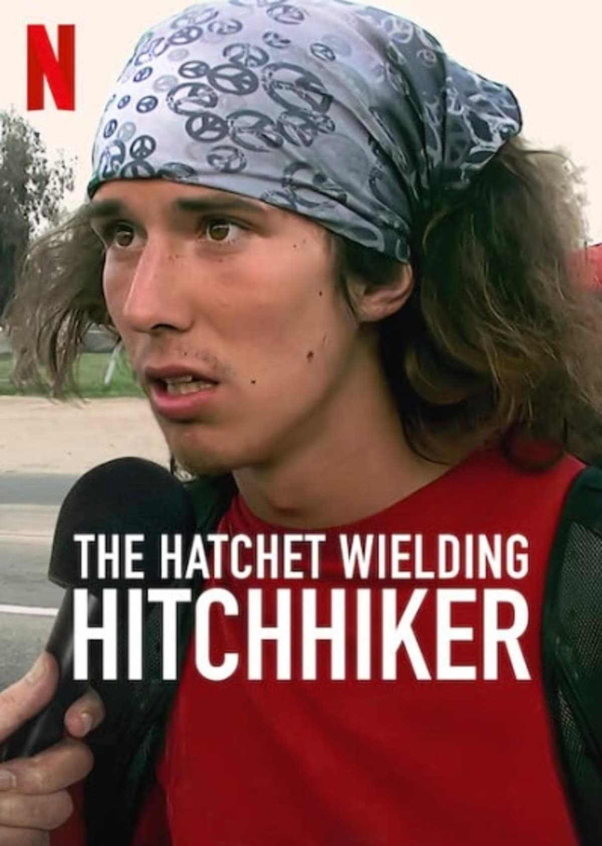 large_9bc067fc17b34a4e65d9a61ca995aa41-Hatchet.jpg