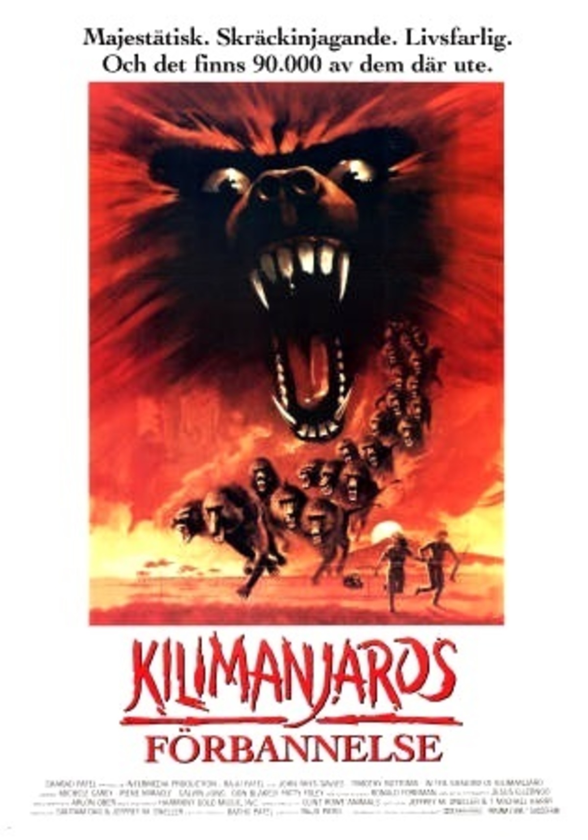 large_a2da39ba808c4cd7d4bb43d2e6944835-Kilimanjaros_20f_C3_B6rbannelse.jpg