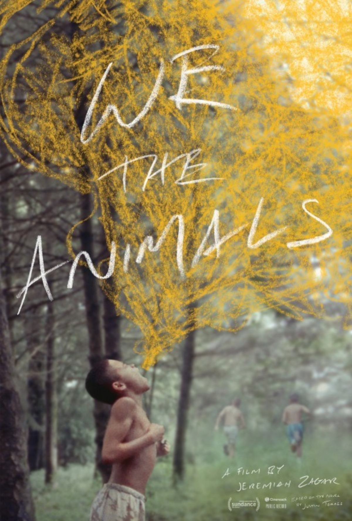 large_a3f25802affffbda980e0f0b9e195ae0-we_the_animals.jpg