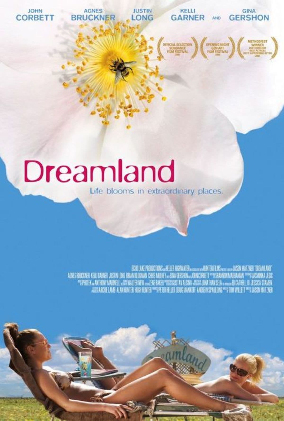 large_a51ea561aa45922a348ed69c1a630436-dreamland.jpg