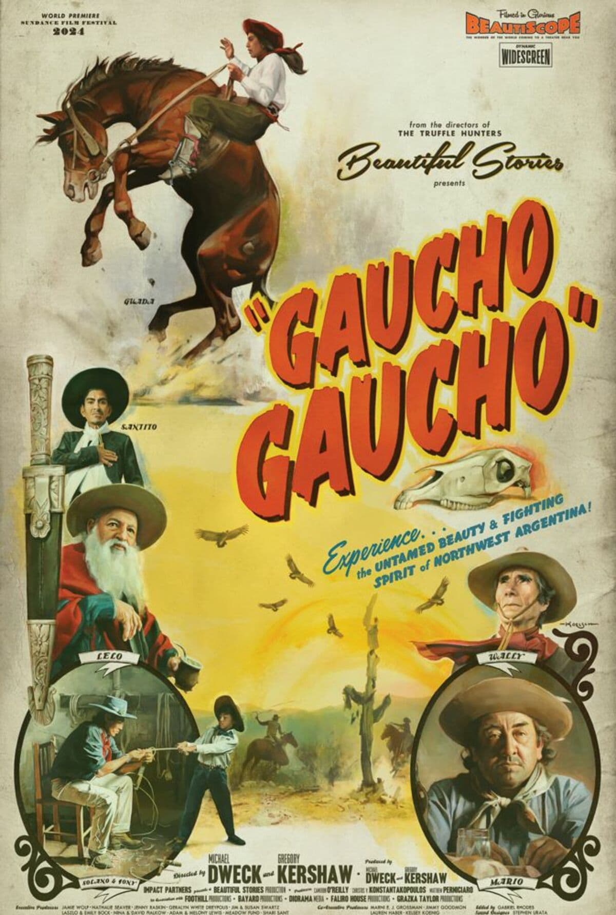 large_a58810f71a07de43000161d4ea9e8c87-gaucho_20fix.jpg