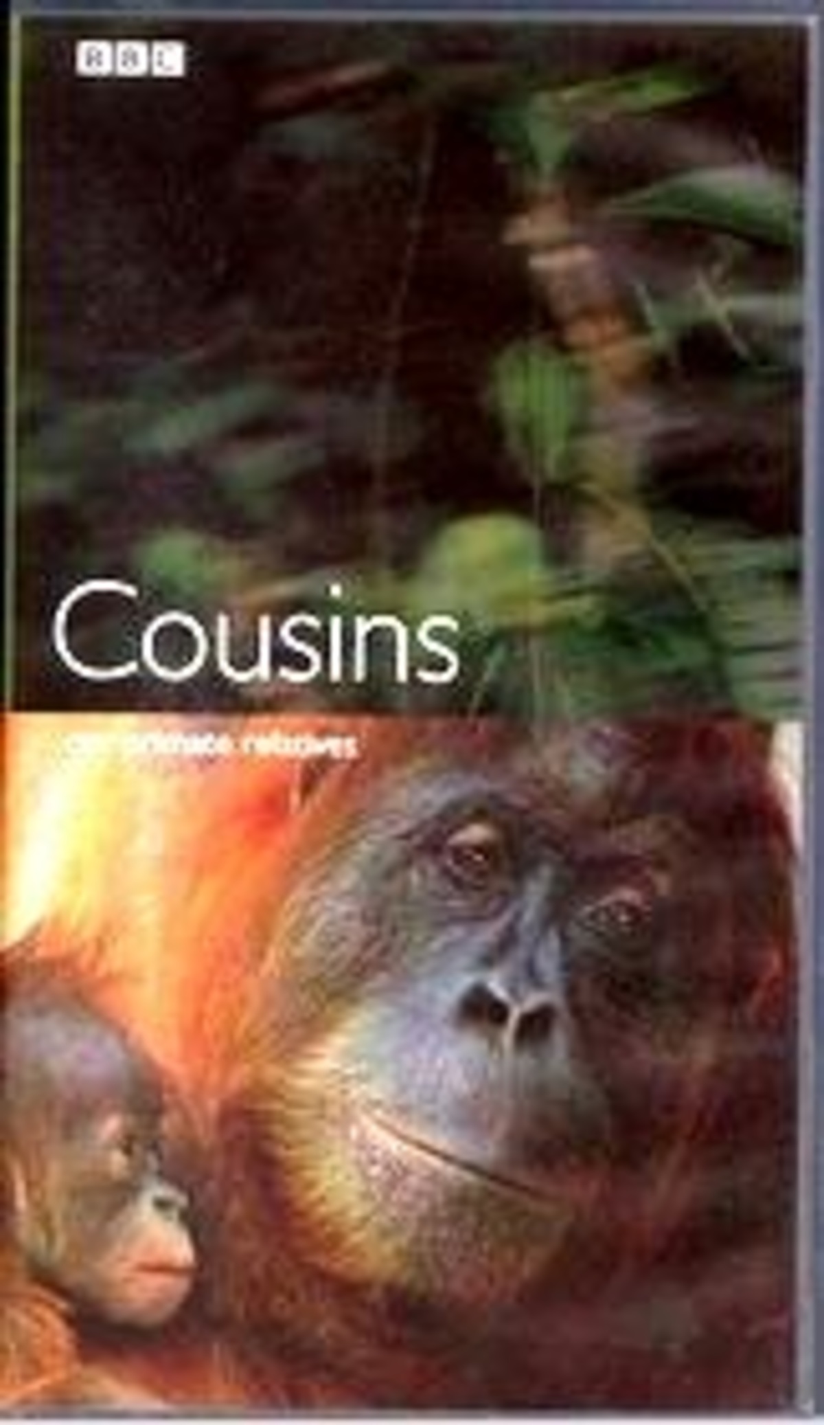 large_a80d5f203e2094819dab622c43e62152-Cousins-BBC.jpg