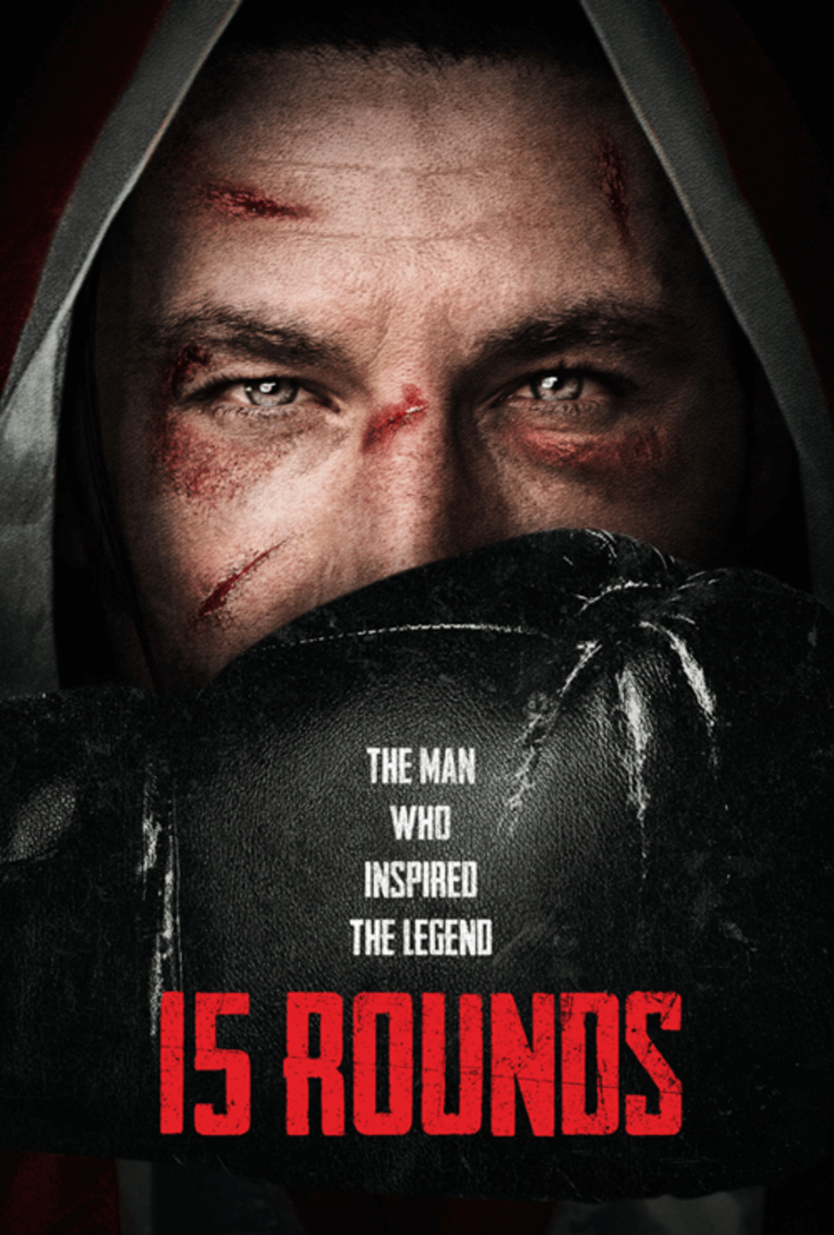 large_ae01753194900c229f6def6657aa0b6c-Cover_15-rounds_website.png