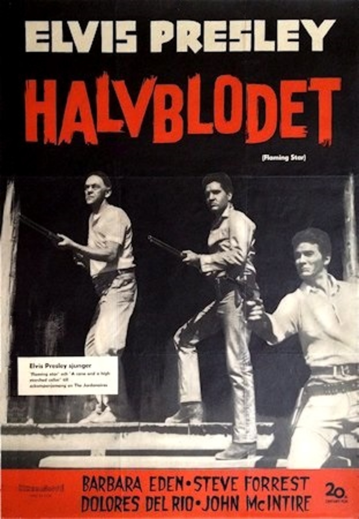 large_aec8227c719cc3879c64857a840c480b-halvblodet_60.jpg