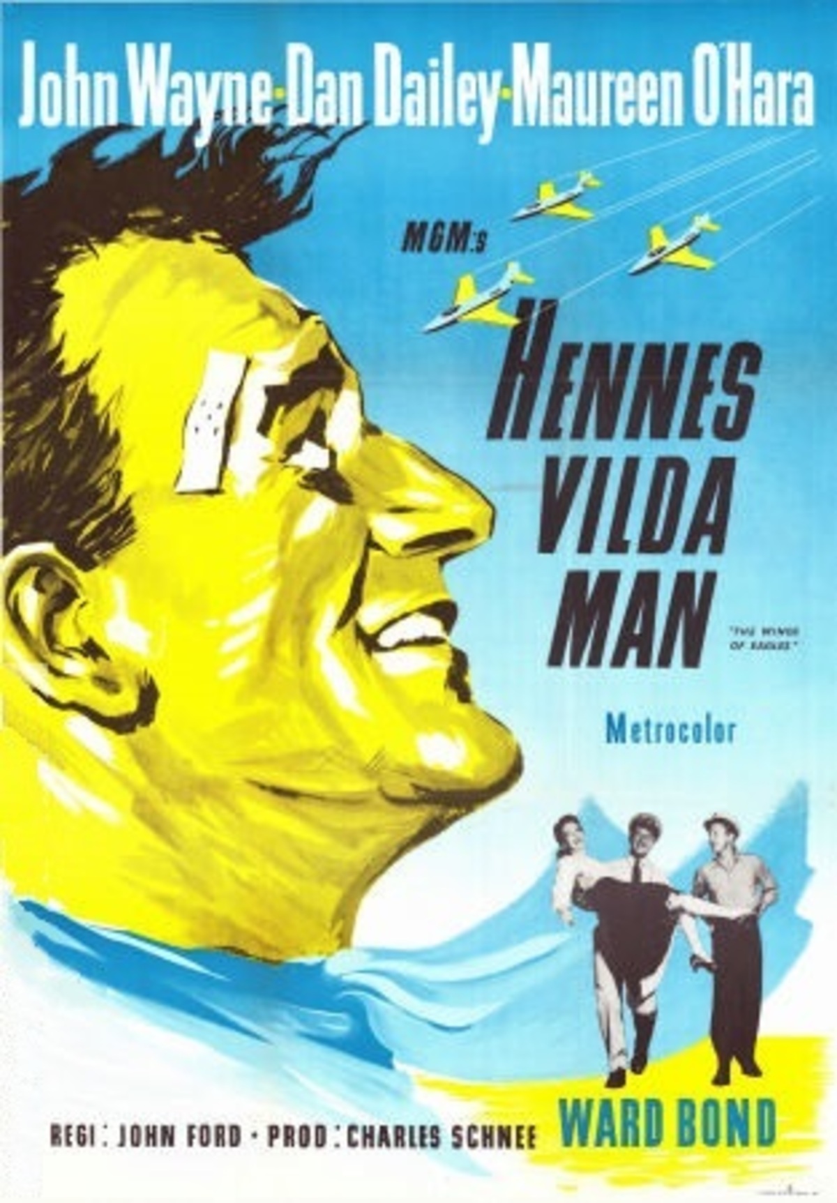 large_b19951ab86c796b9c980a9f993cb5f73-hennes_vilda_man_57.jpg
