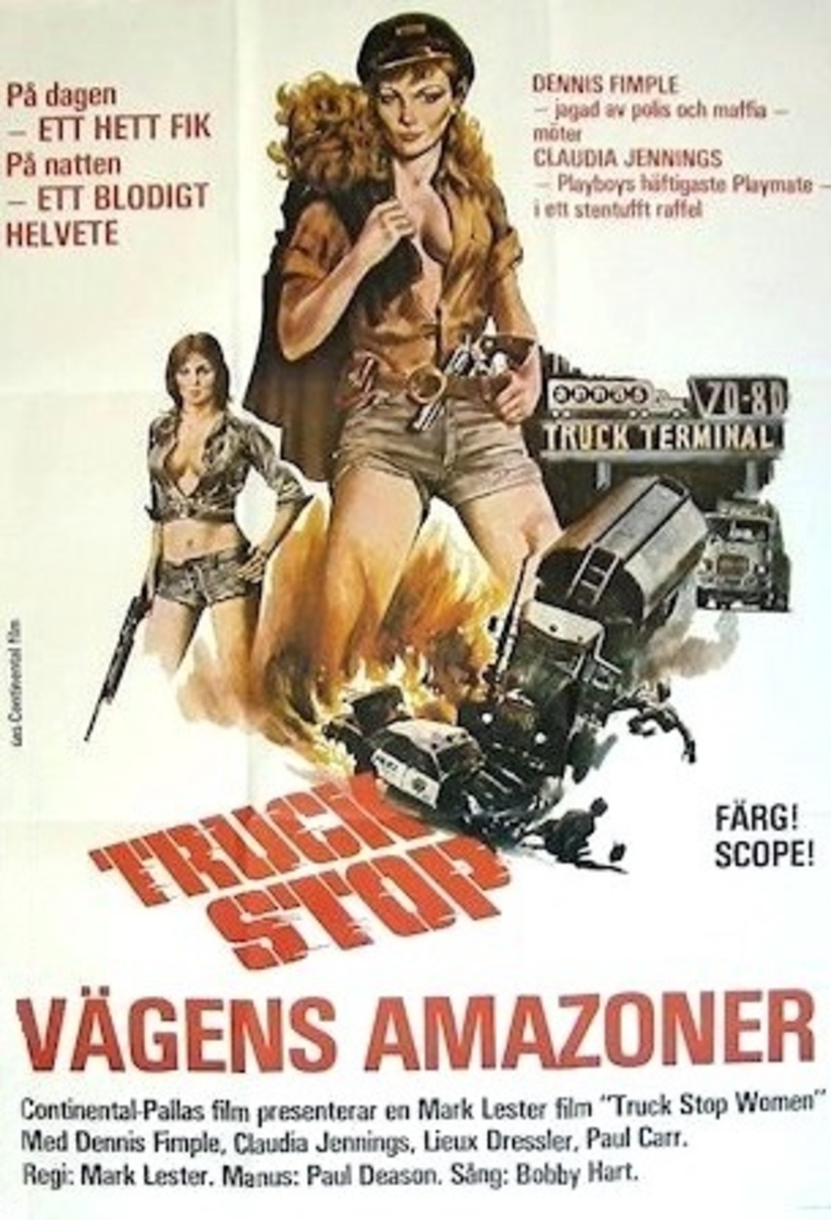 large_b1bc1160e8757abe11294e0f8e9d8177-Truck_20Stop_20-_20V_C3_A4gens_20amazoner.jpg