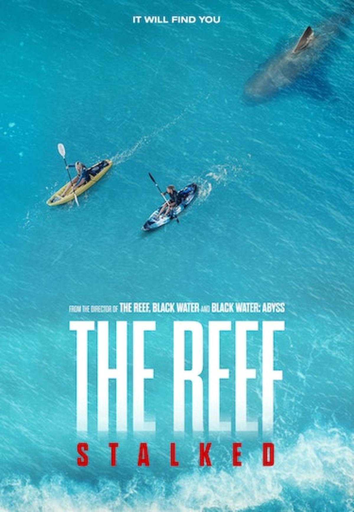 large_b317736ed9c863a7d92a2ebd8b1056a0-the_20reef_20stalked.jpg