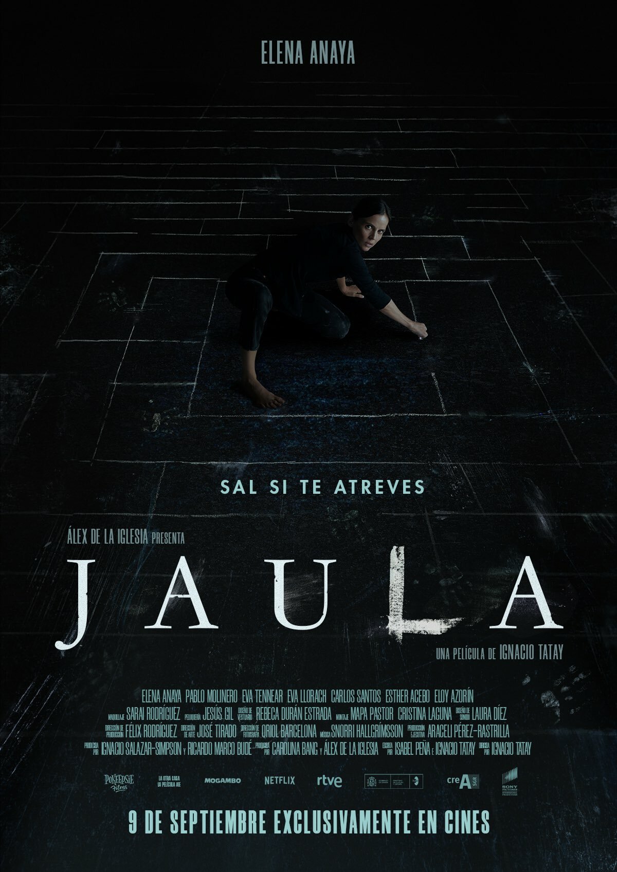 large_b8974af25eb65e88338412f546557ee1-jaula.jpg