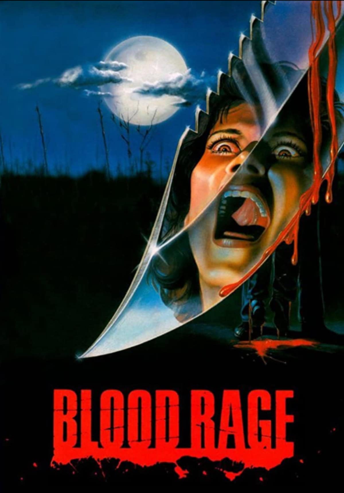 large_b92167fb1bfa863ab0be6ac884001258-Blood_20Rage_20_1987.png