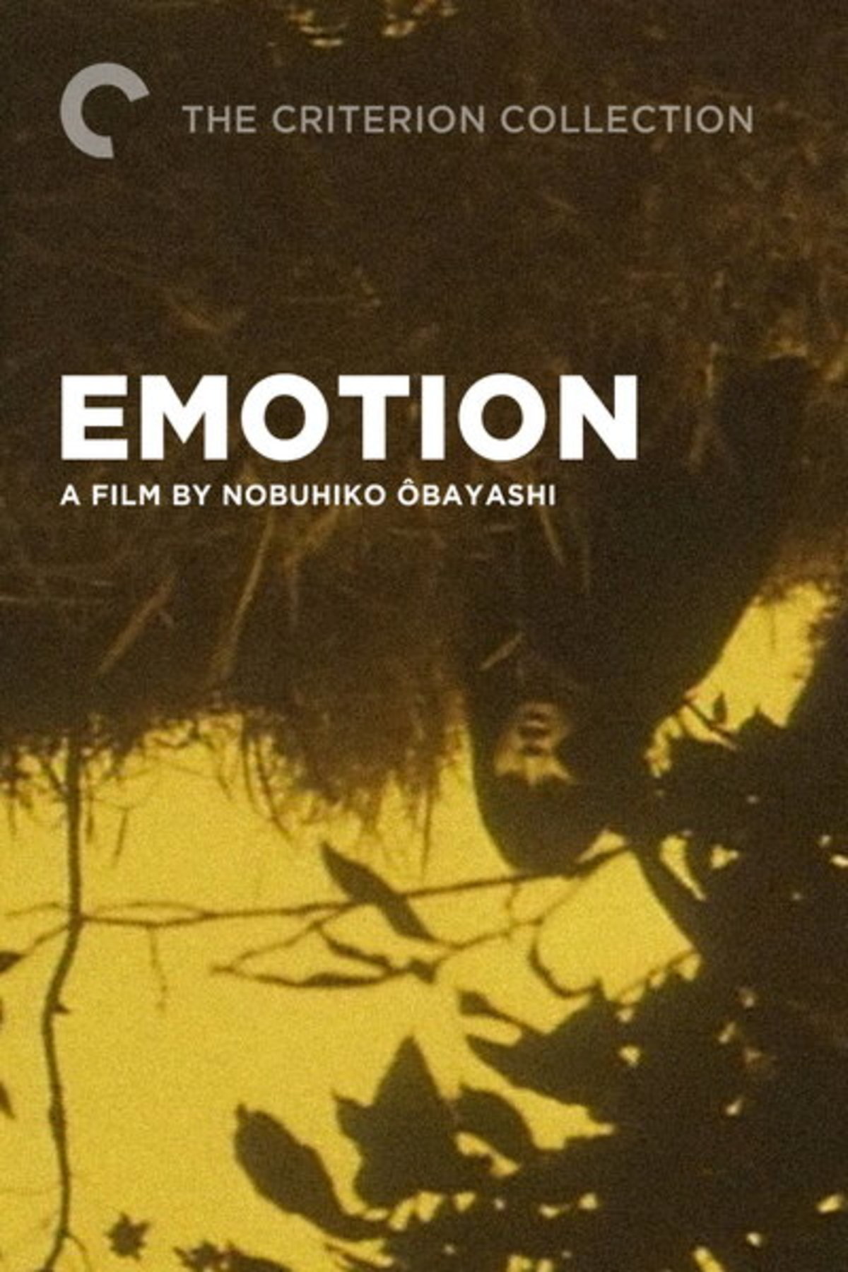 large_ba98bd0452be28b263f7e81fbb108a24-emotion.jpg