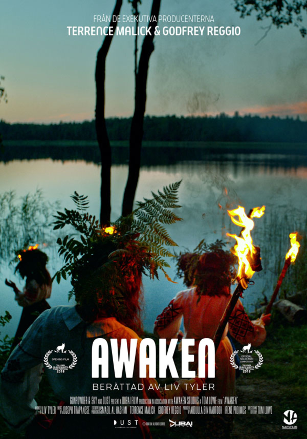 large_bbd454153e0d5d46476d89113462125c-poster-awaken.jpg