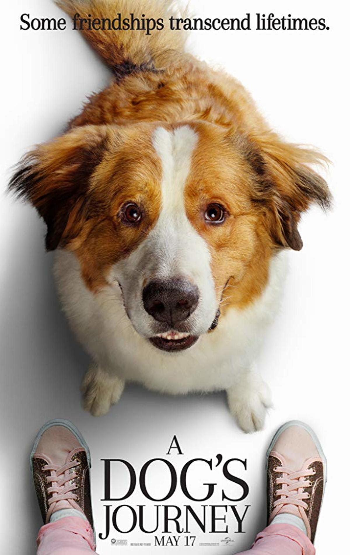 large_be325a2b50079c0ec1f995c90cf440bb-dog-joruney-poster.jpg