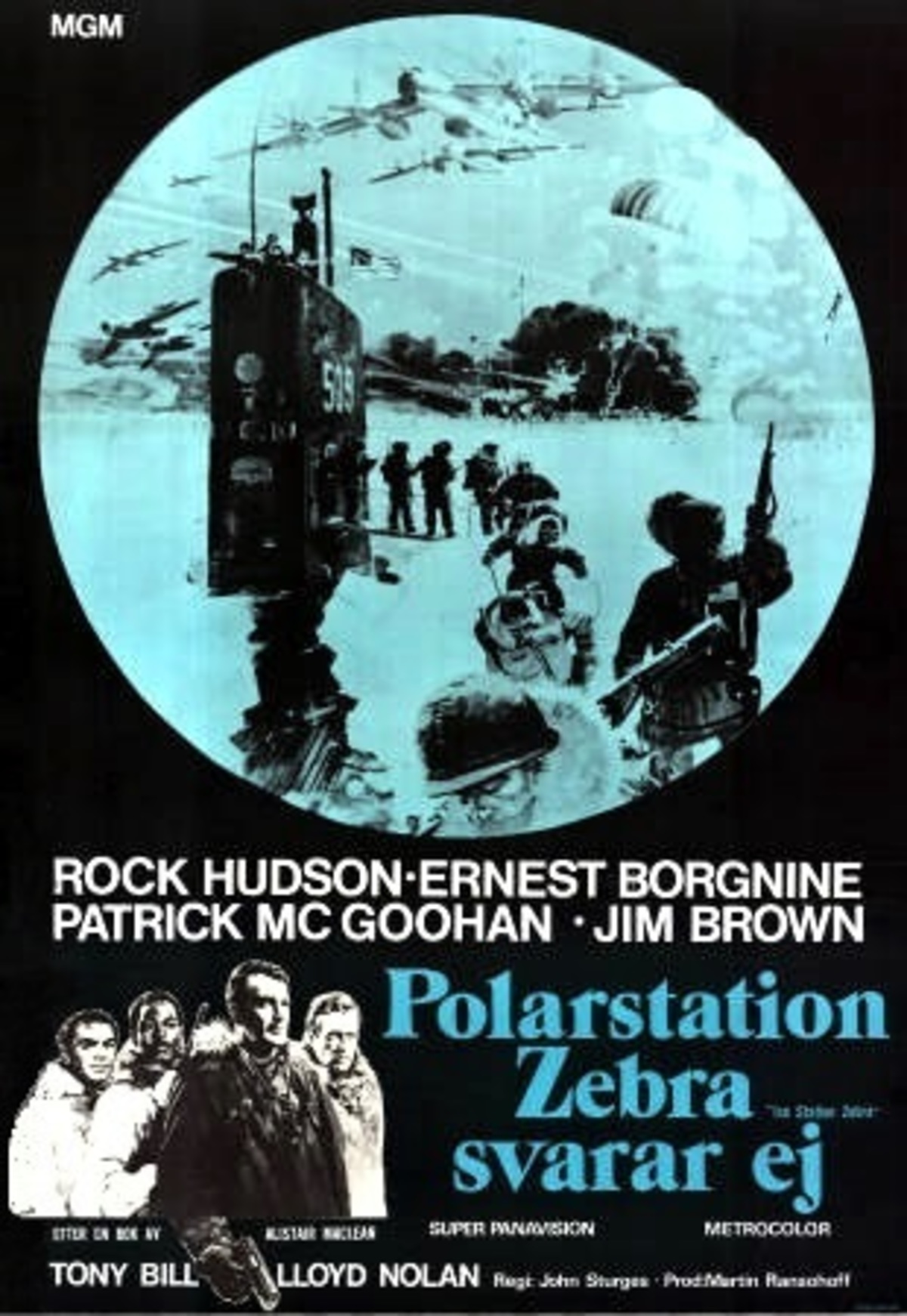 large_bf894f94abf1000ac0f3c336b1f6a309-Polarstation_20Zebra_20svarar_20ej.jpg
