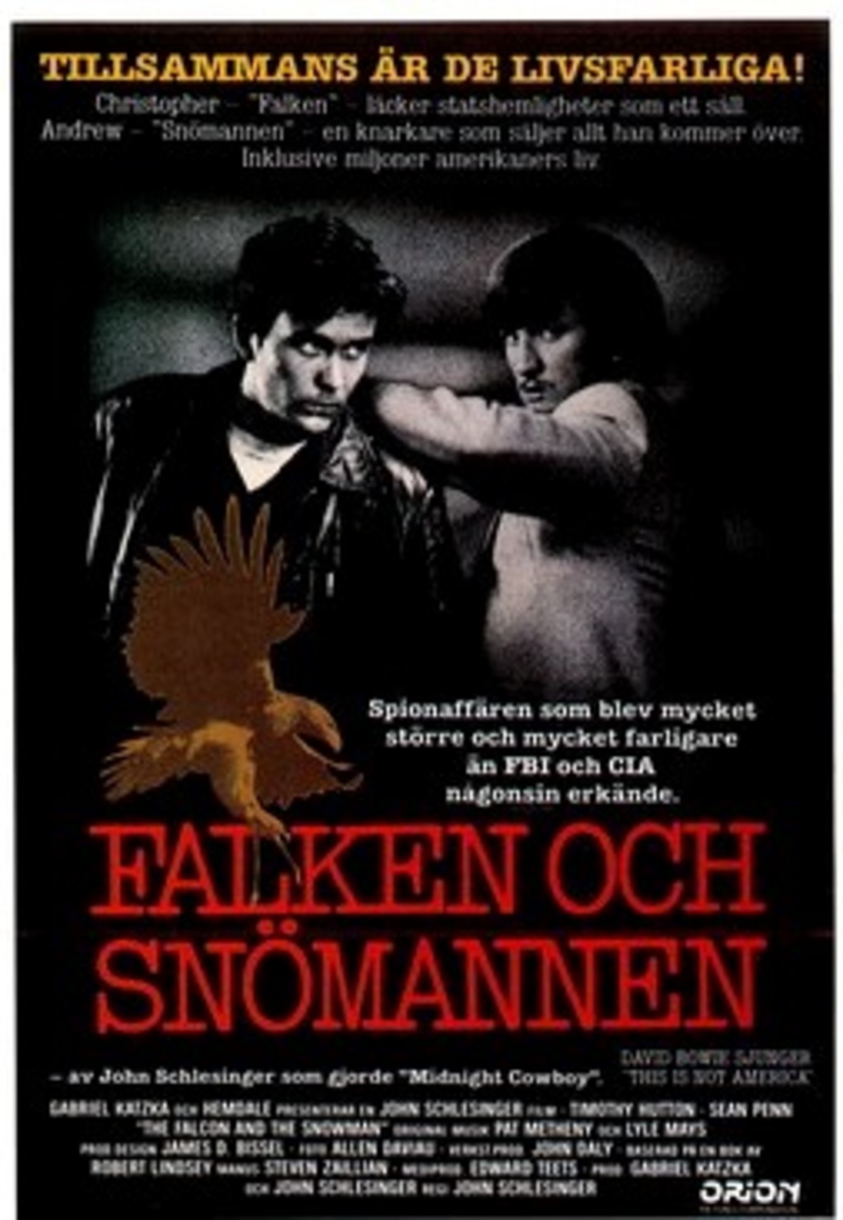 large_bfd77970d0003bcea93b6d4f1269c687-Falken_20och_20sn_C3_B6mannen.jpg