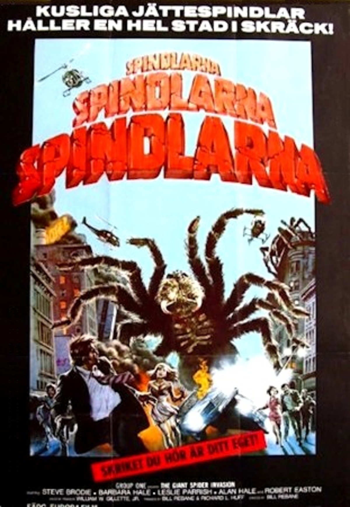 large_c0c3498fefa8c6c413fa6ec40f9d19ec-spindlarna_77.jpg
