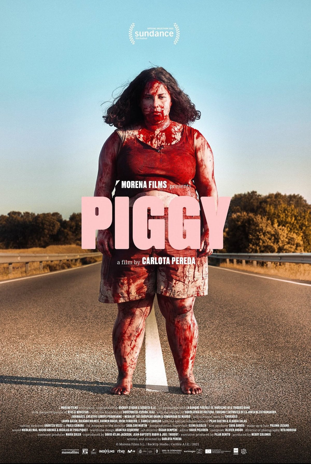 large_c0fd666dee2235a7c5f24129977a8fa4-piggy.jpg