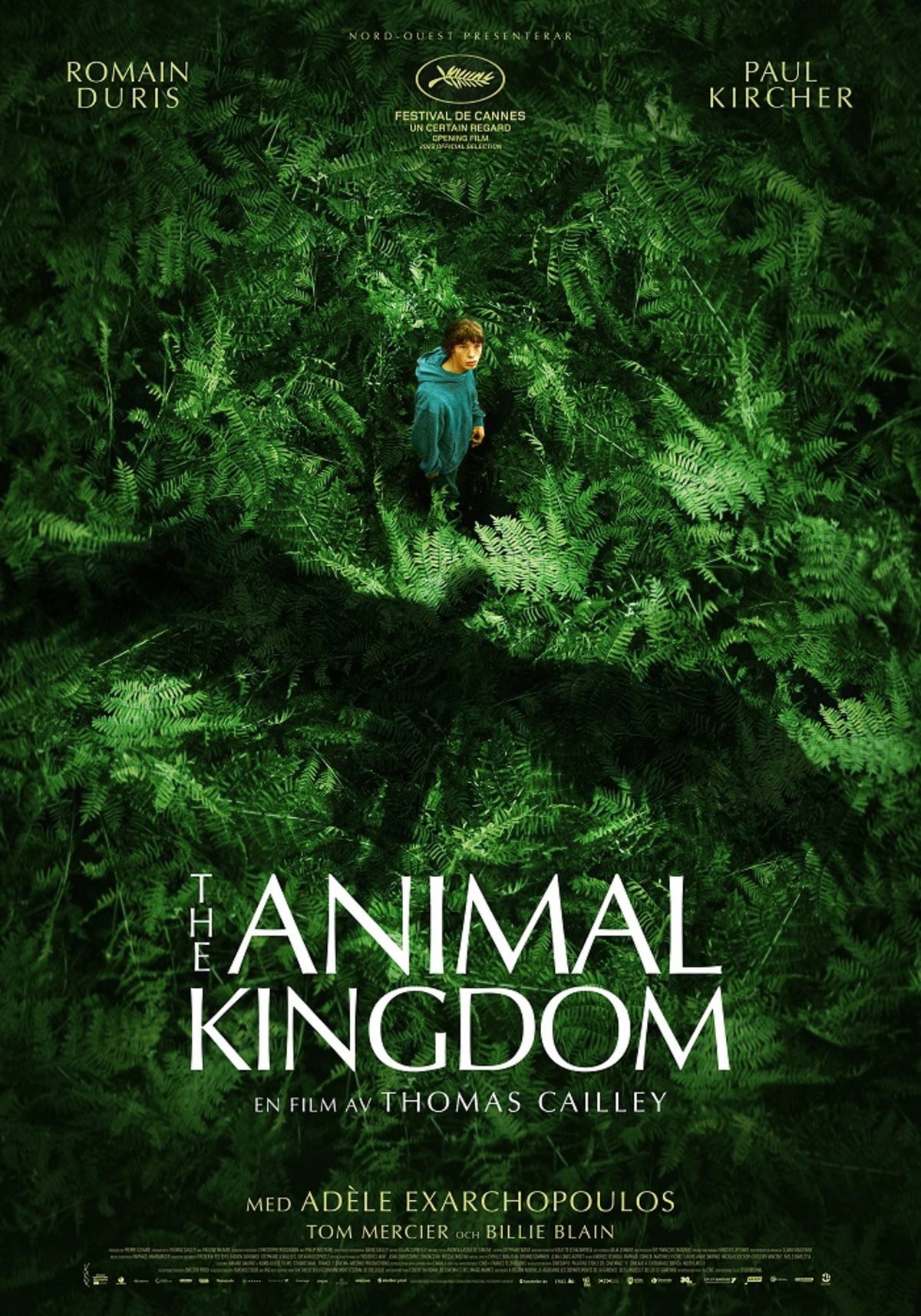 large_c2bae9d5adcdcb4712ea885337798fb9-Animal-Kingdom-the-70x100-hemsida.jpg