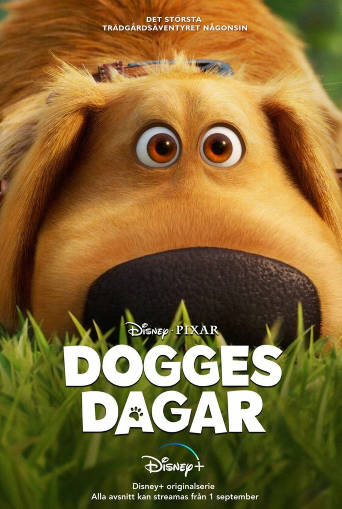 large_c5530f05514f17e4d8fe5d7b21e1e7a6-dogges_20fix.jpg