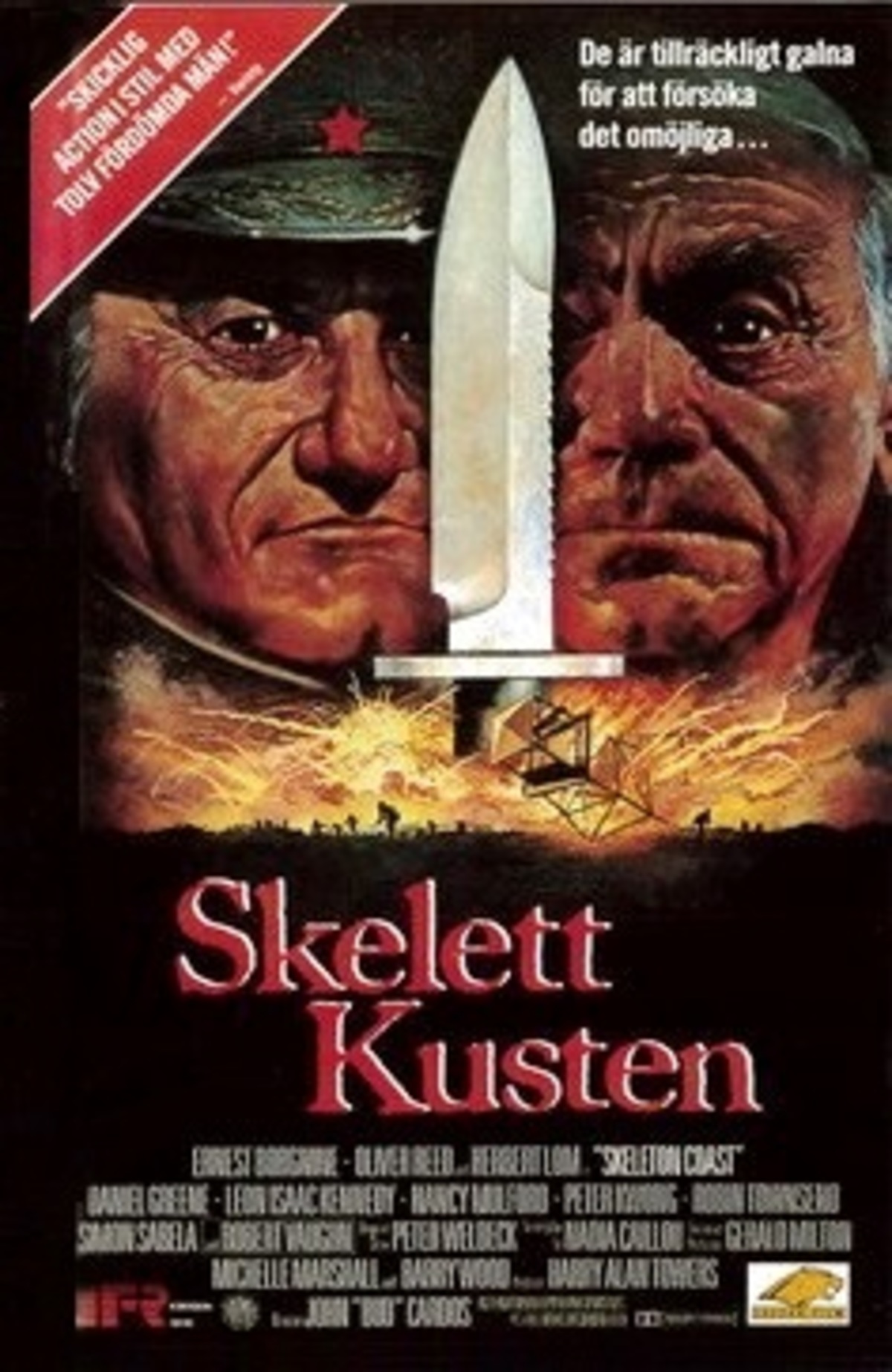 large_c61c861e8857f1f74b1c2914a5f6b5a5-Skelettkusten.jpg