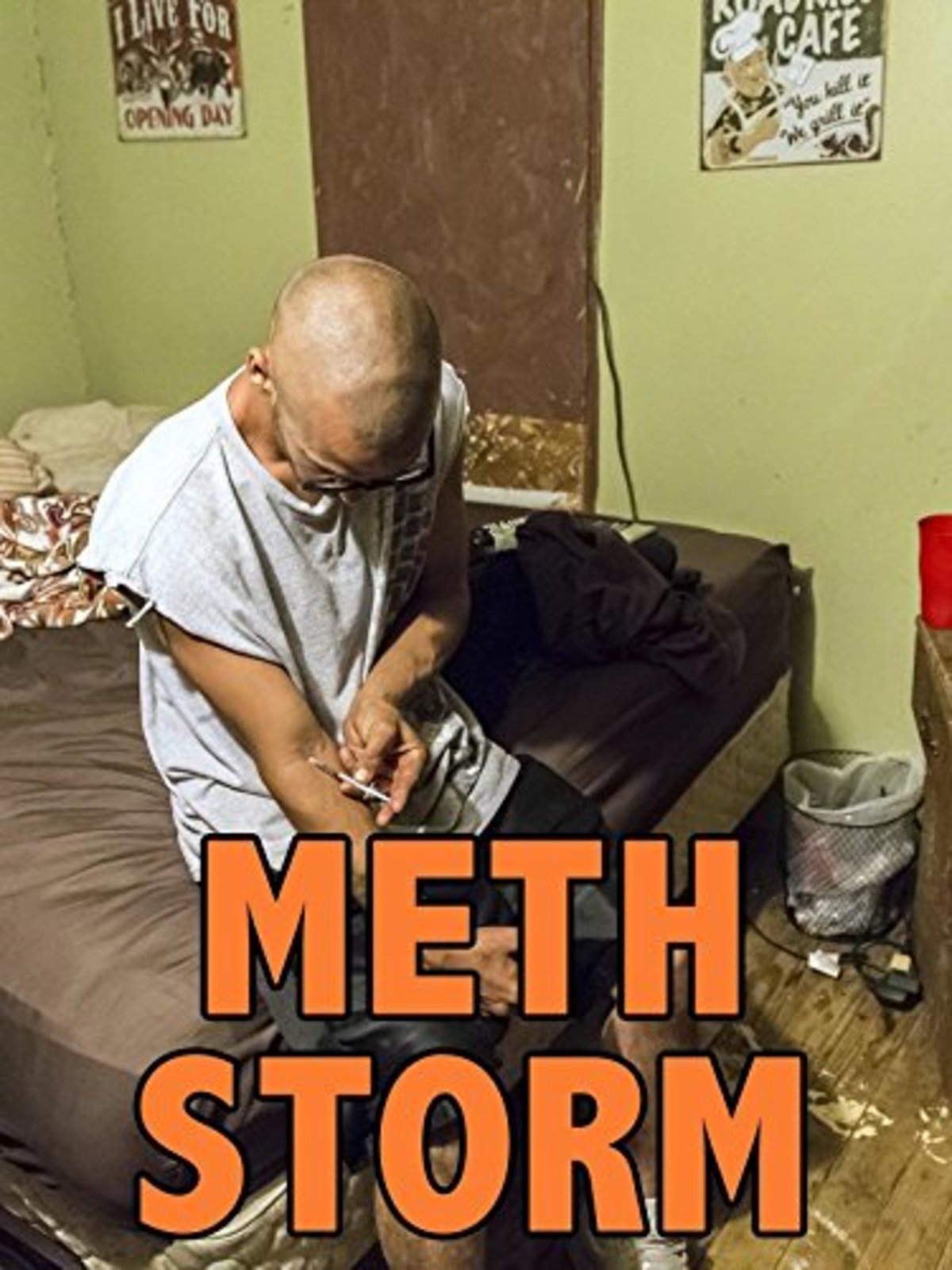 large_c63fe780b6192d8cd225cff61de68324-Meth_20Storm.jpg