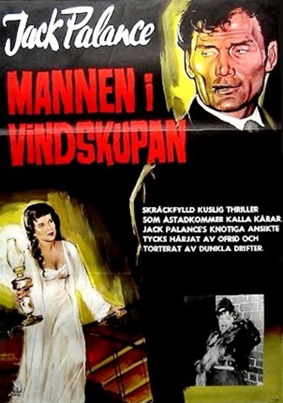 large_c971c12a3095b756d369310803ede76f-Mannen_20i_20vindskupan.jpg