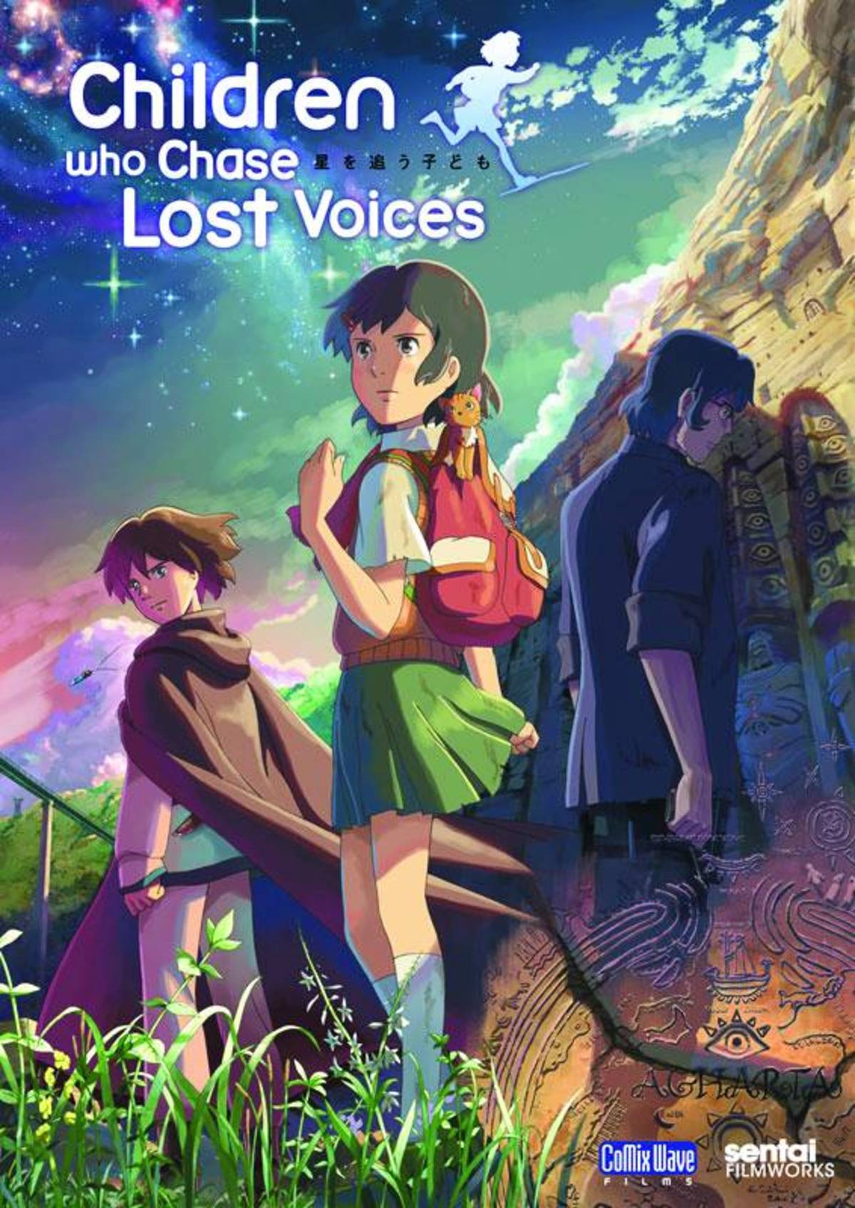 large_ccbd8b7cf2dac224a2bf7f06d01dbf40-CHILDREN-WHO-CHASE-LOST-VOICES-DVD.jpeg