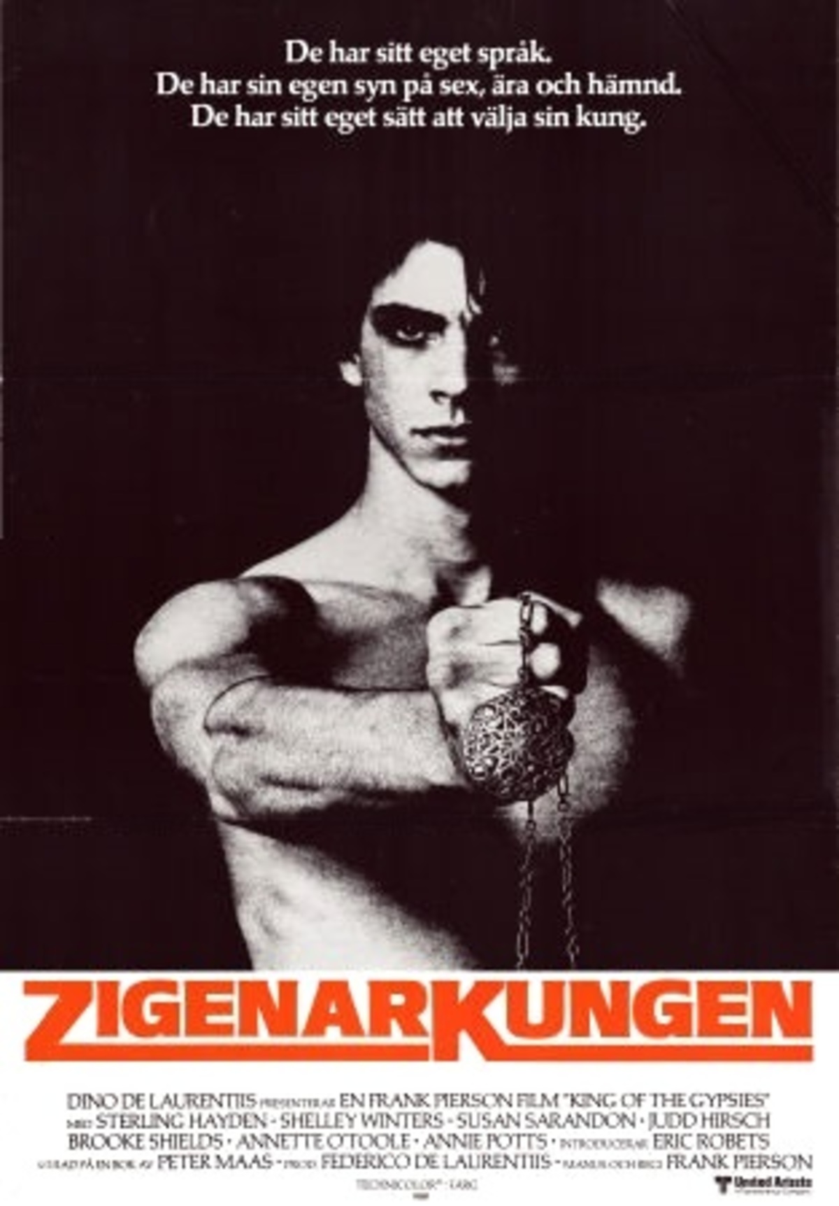 large_ccda504a94634befbce3804c5d2060fa-zigenarkungen_80.jpg