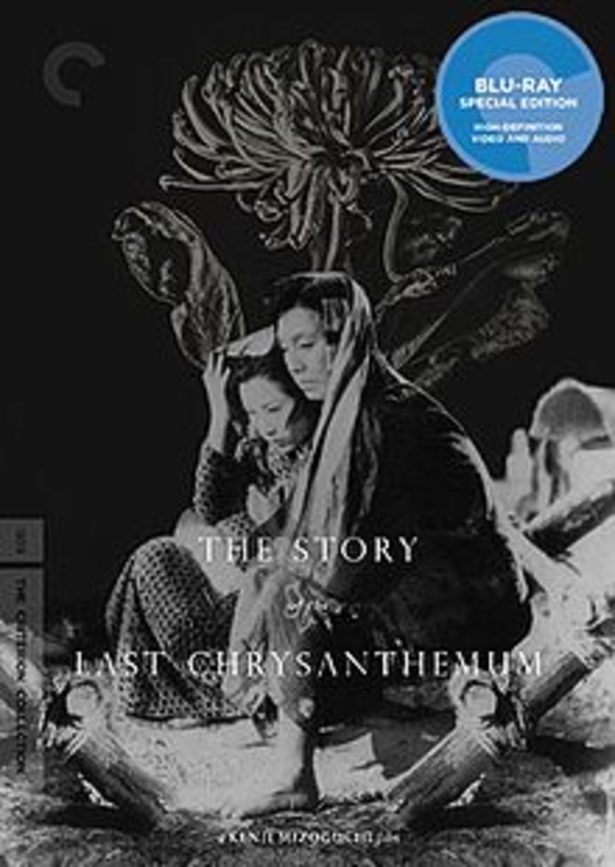 large_ce095bad15a47fd013d574e20380490b-The_Story_of_the_Last_Chrysanthemum.jpg