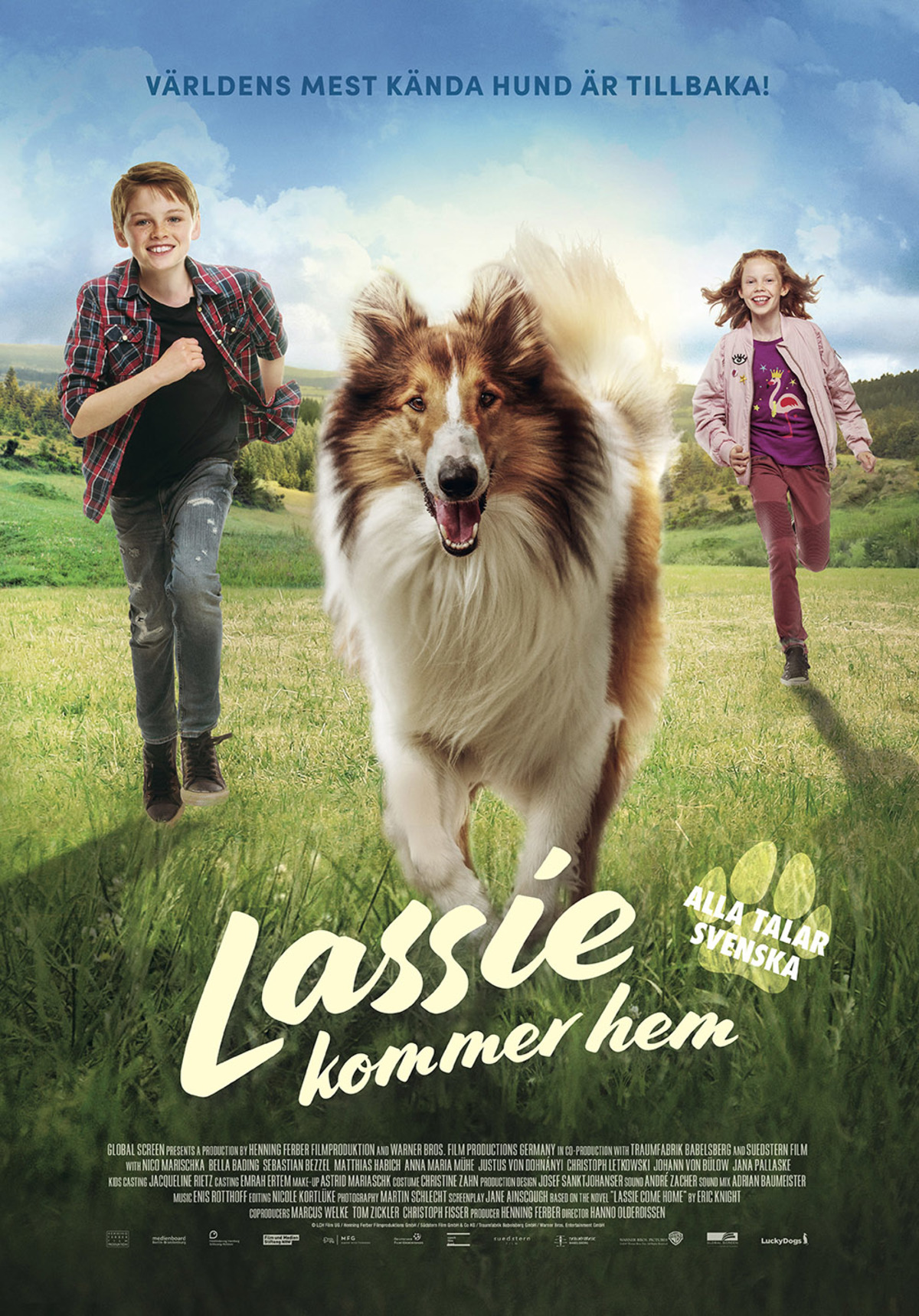 large_d2e9a50f2a269402badd0a2b98aac5a2-lassie.jpg