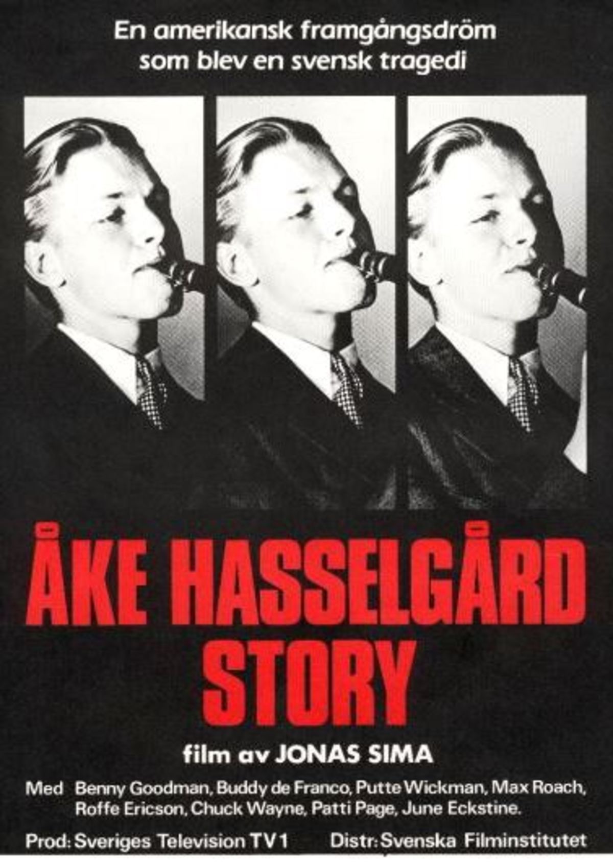 large_d3cc2e518e8dc931c10eb43958299d1f-_C3_85ke_20Hasselg_C3_A5rd_20story.jpg