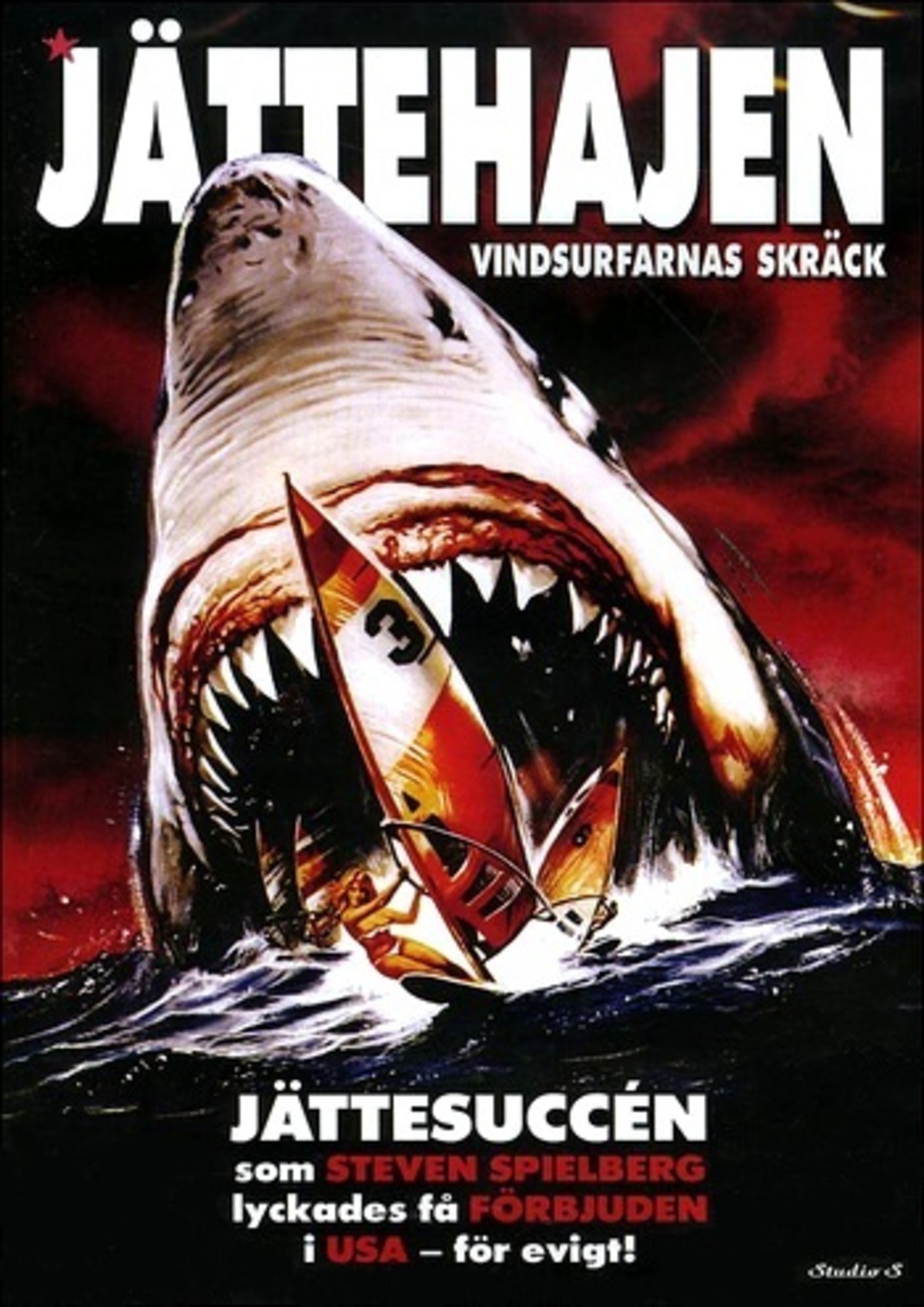 large_d3e9ea99595902dd034d4c719d65b0ad-J_C3_A4ttehajen_20-_20vindsurfarnas_20skr_C3_A4ck.jpg