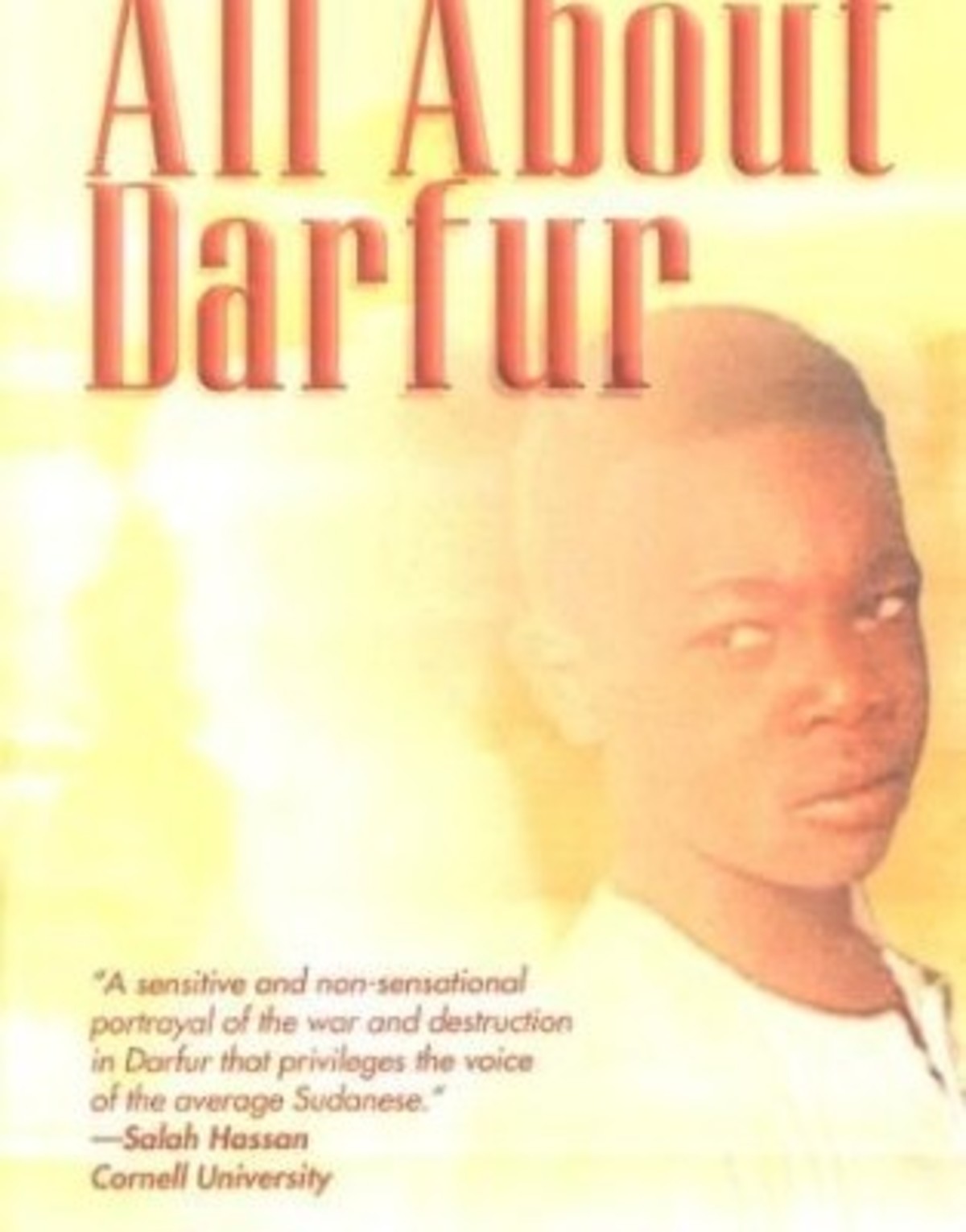large_d4dc997ae52c69a4d0ebade52a96bf65-All-About-Darfur.jpg