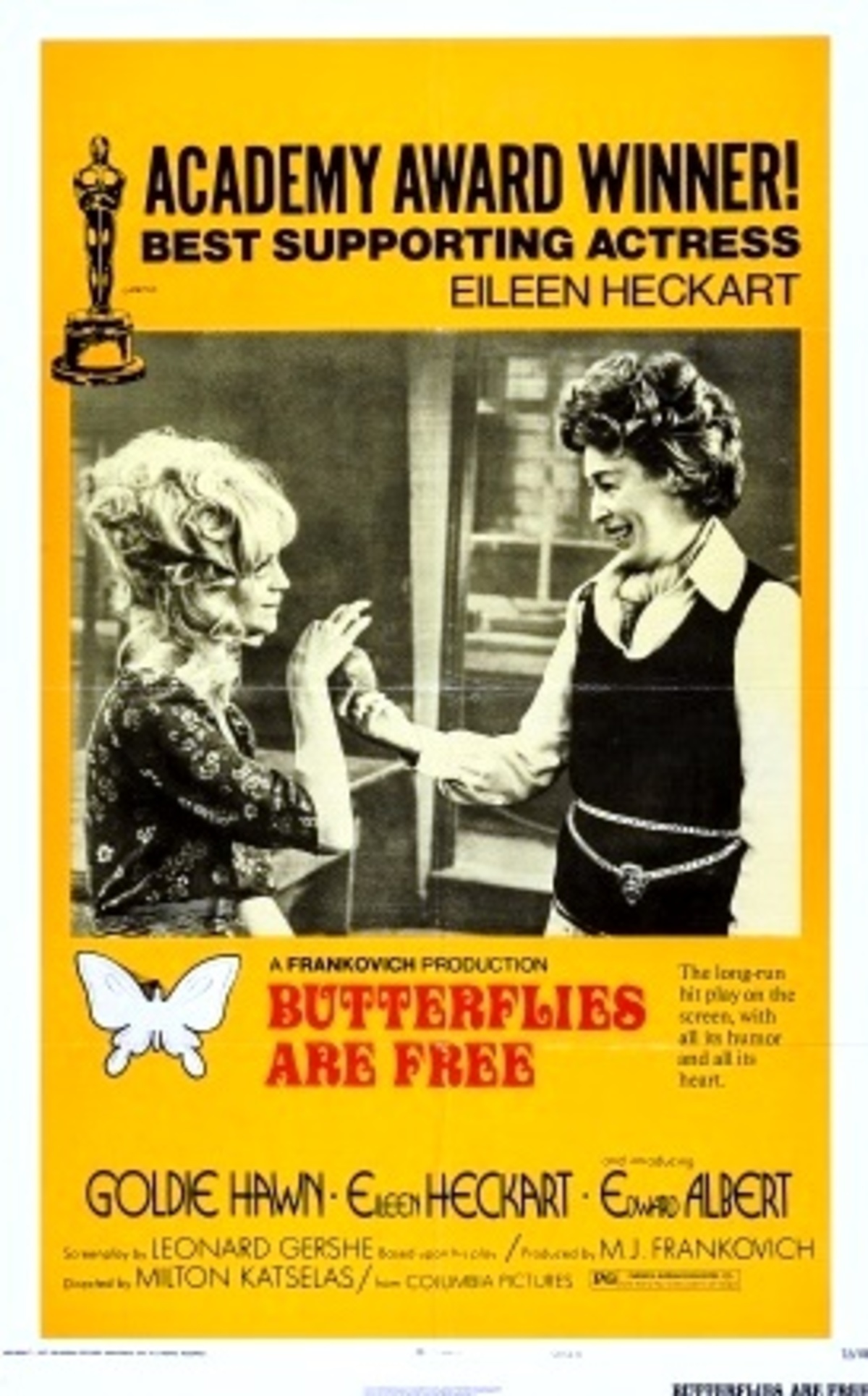 large_d5ed21aeff19b6c1e4dbfda79e7e61e3-Butterflies_20Are_20Free.jpg