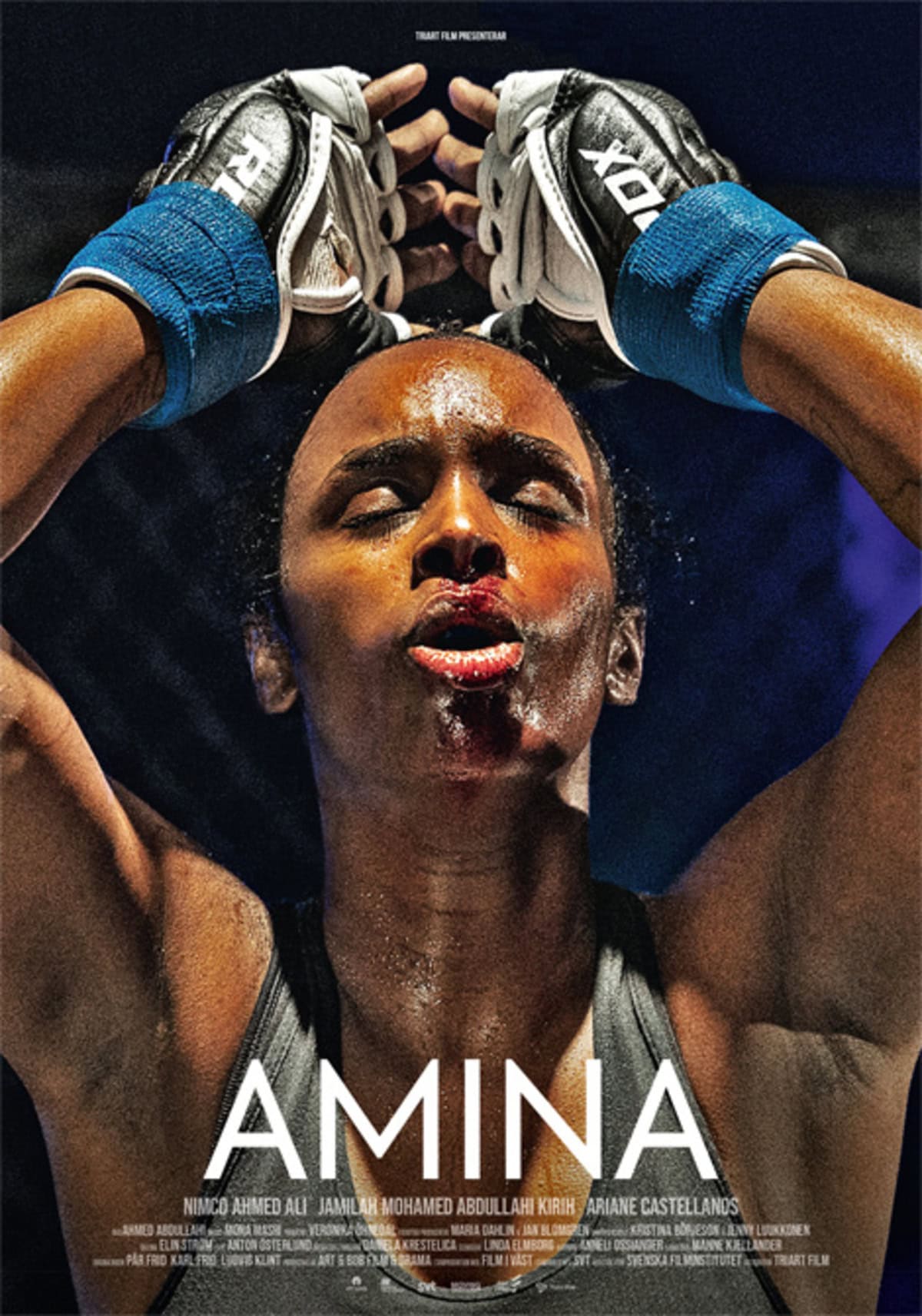 large_d739aad0517d1c156d5924da9d4b21da-amina.jpg