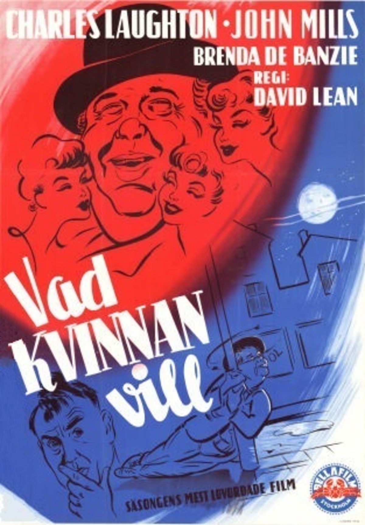 large_d7a8f7a7fe1bc98ba07612cce128c8b8-vad_kvinnan_vill_54.jpg