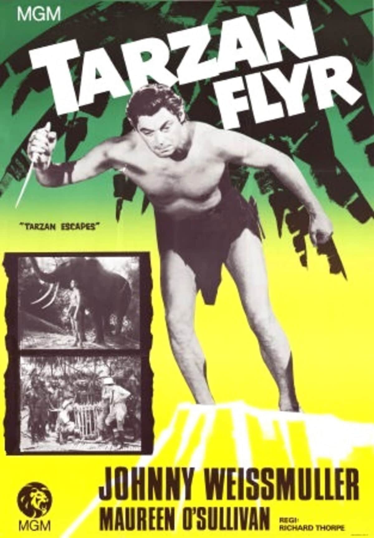 large_d7bca2273c2dd6ec75b3070c75a1d0b0-Tarzan_20flyr.jpg
