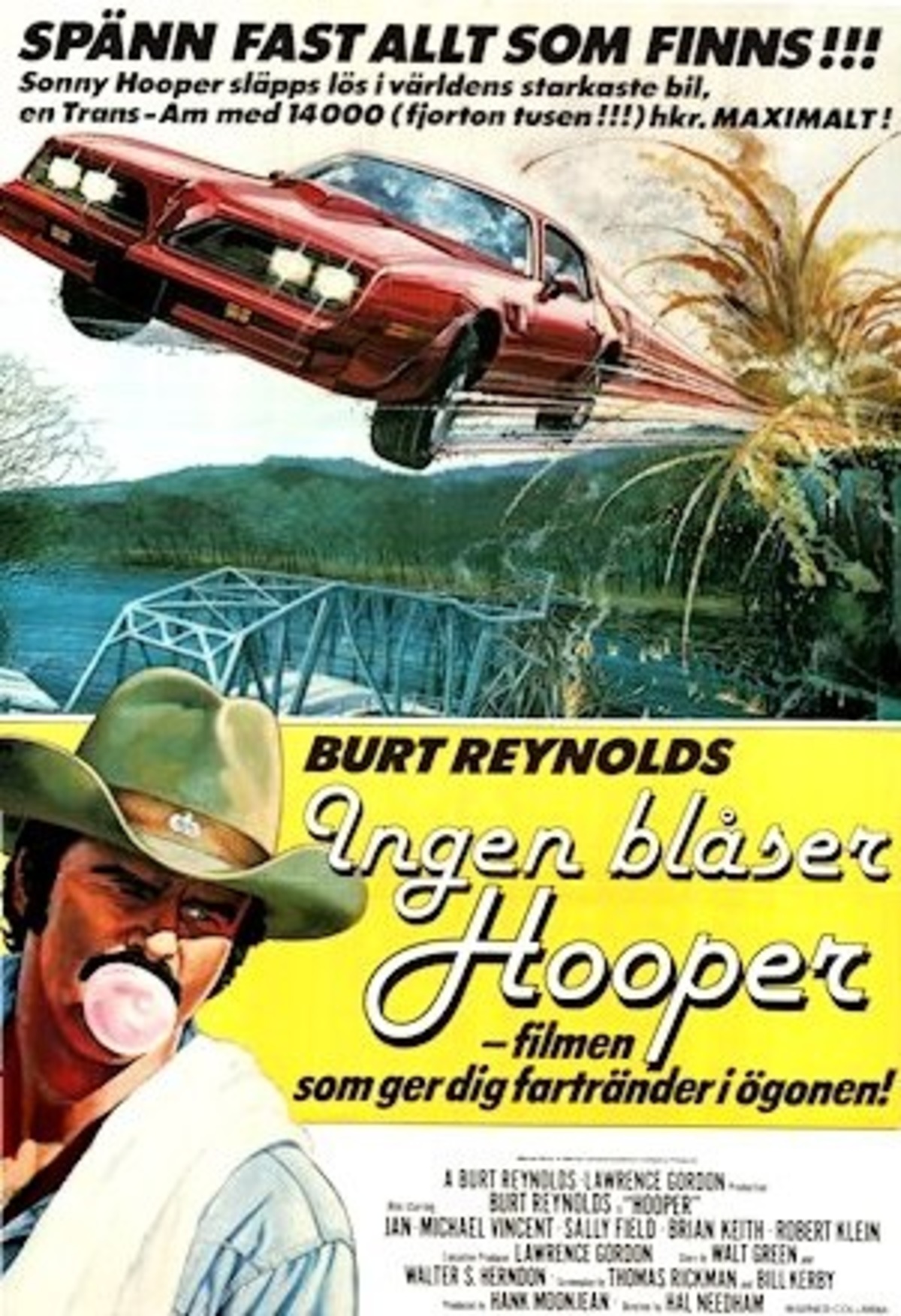 large_d7fef6d8eb83655c758e71335a76fecf-Ingen_bl_C3_A5ser_hooper_poster.jpg